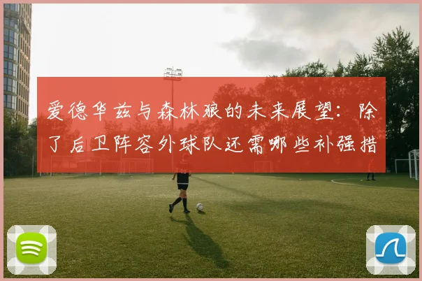 爱德华兹与森林狼的未来展望：除了后卫阵容外球队还需哪些补强措施